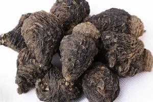 Extracto de Maca Negra peruana